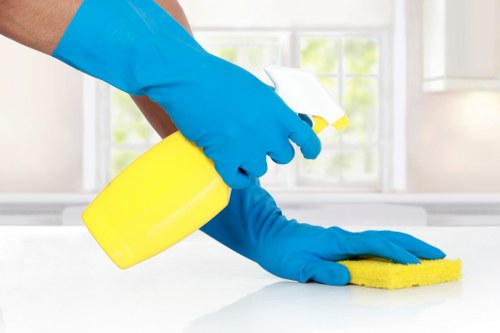 Common household stains requiring treatment