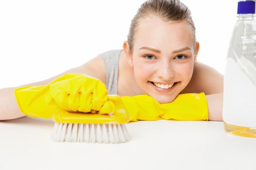 Steam carpet cleaning process in a residential room
